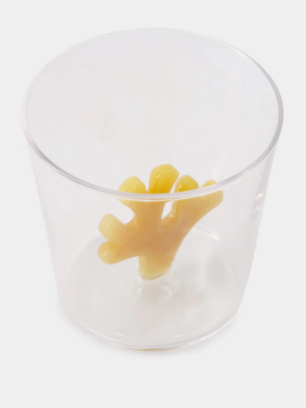 Orange Coral Reef Tumbler Glass - Image 2
