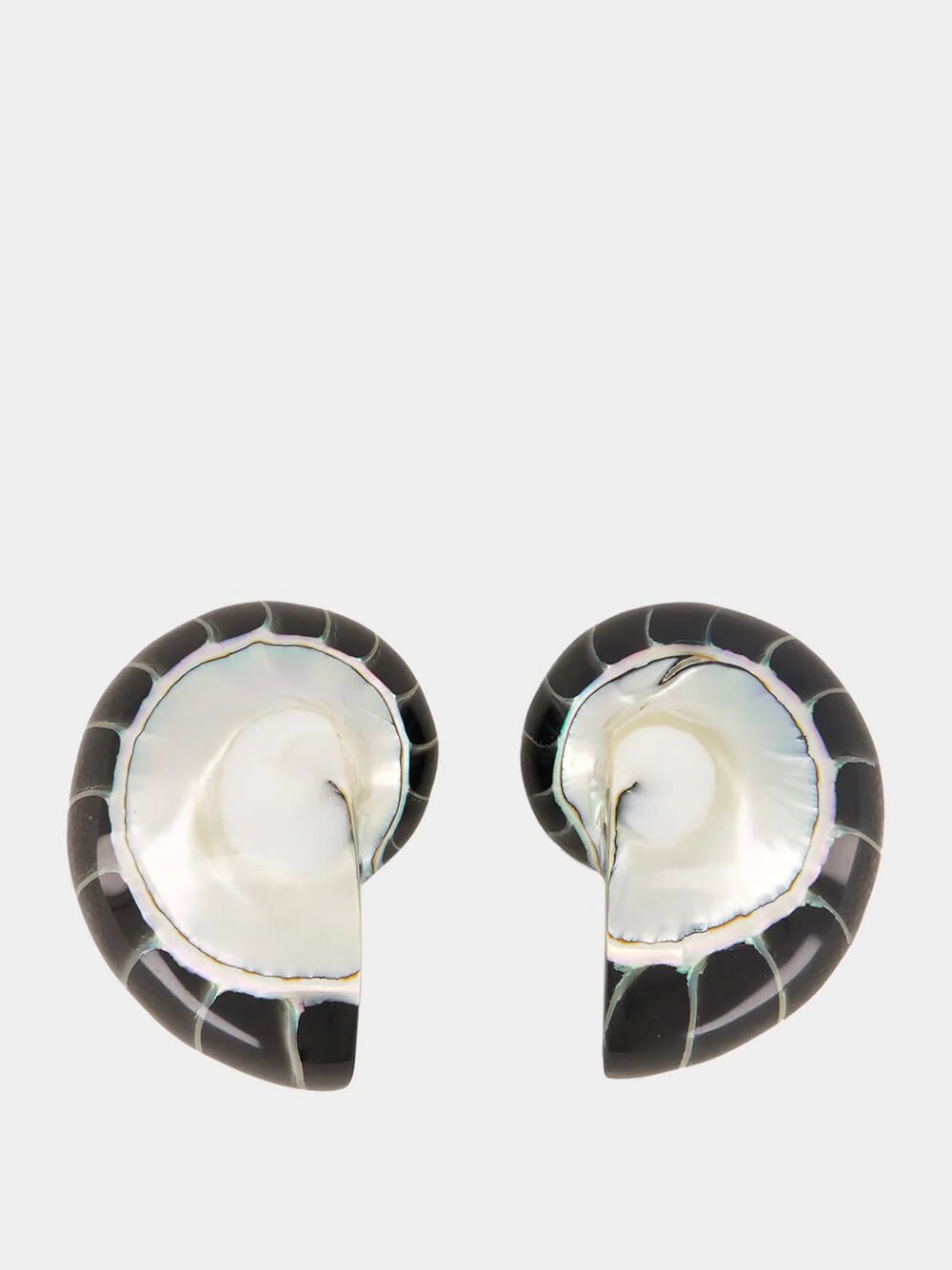 Black Nautilus Shell Clip-On Earrings
