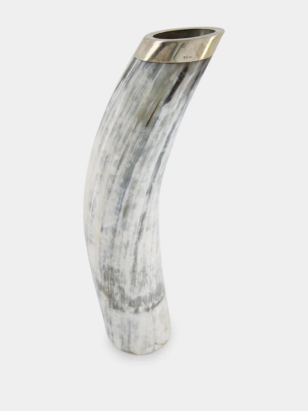 Blond Horn Long Silver Vase - Image 2