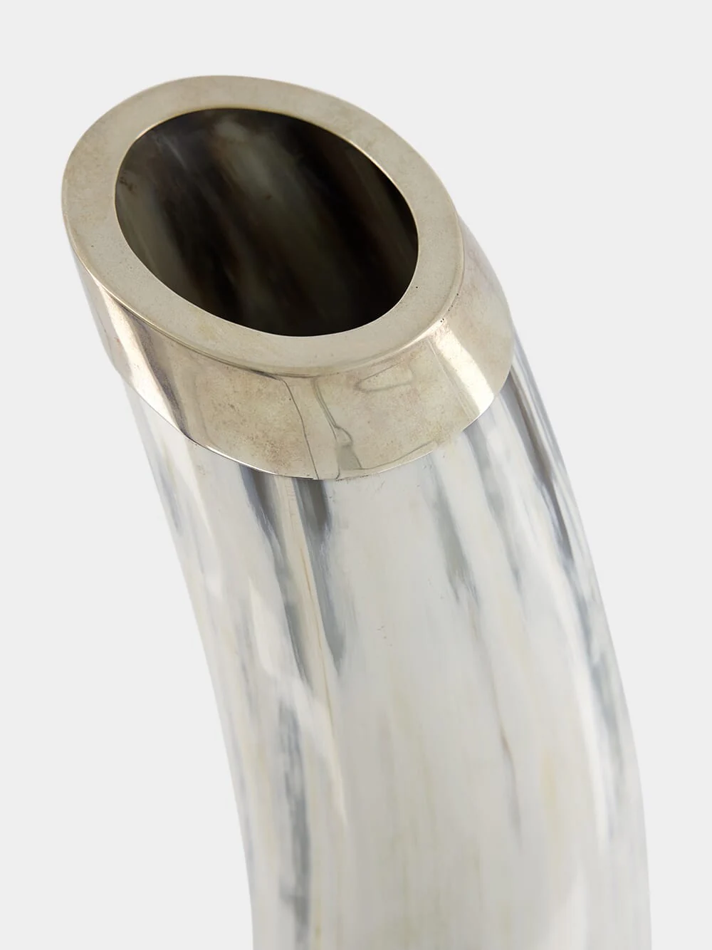 Blond Horn Long Silver Vase - Image 3