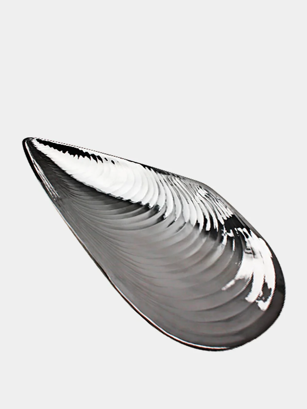 Half Mussel in Silver