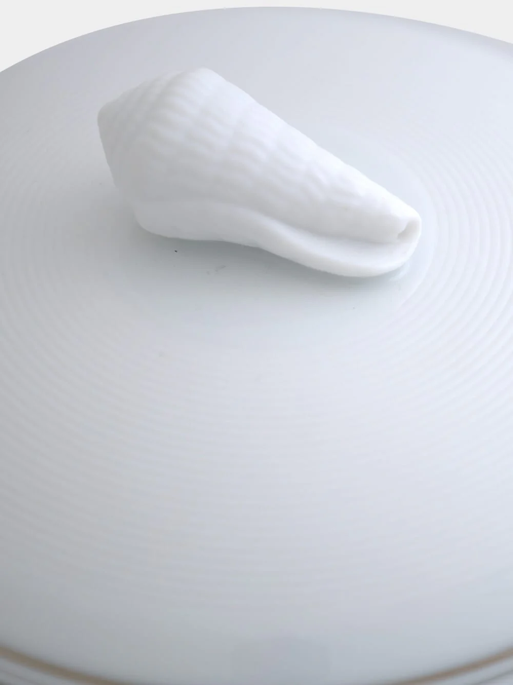 Silver Small Shell Lid Box - Image 3