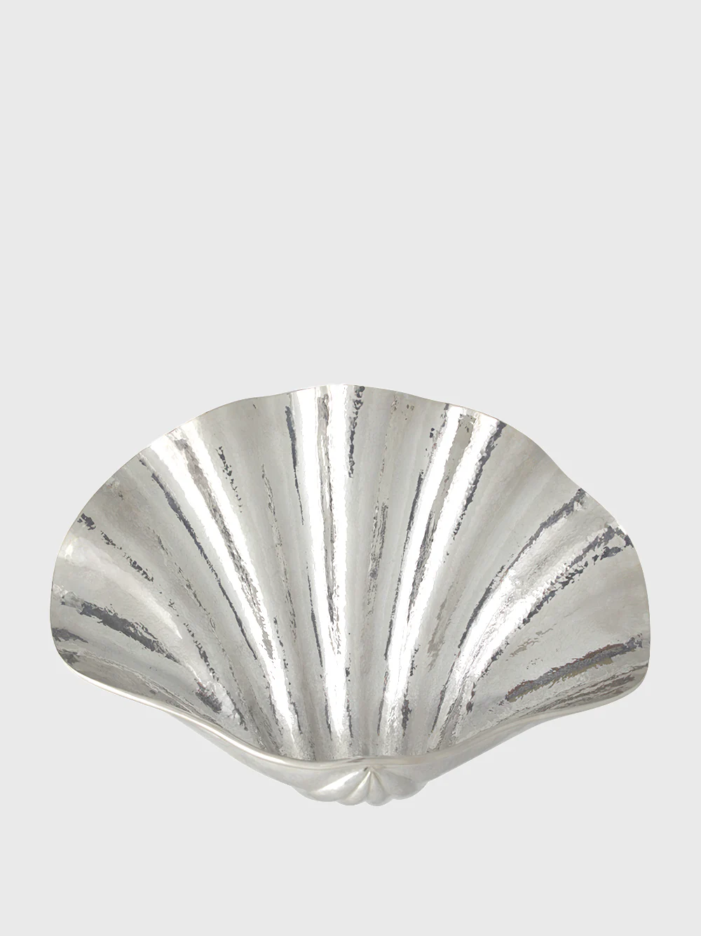 Large Silver Seychelles Shell - Image 2
