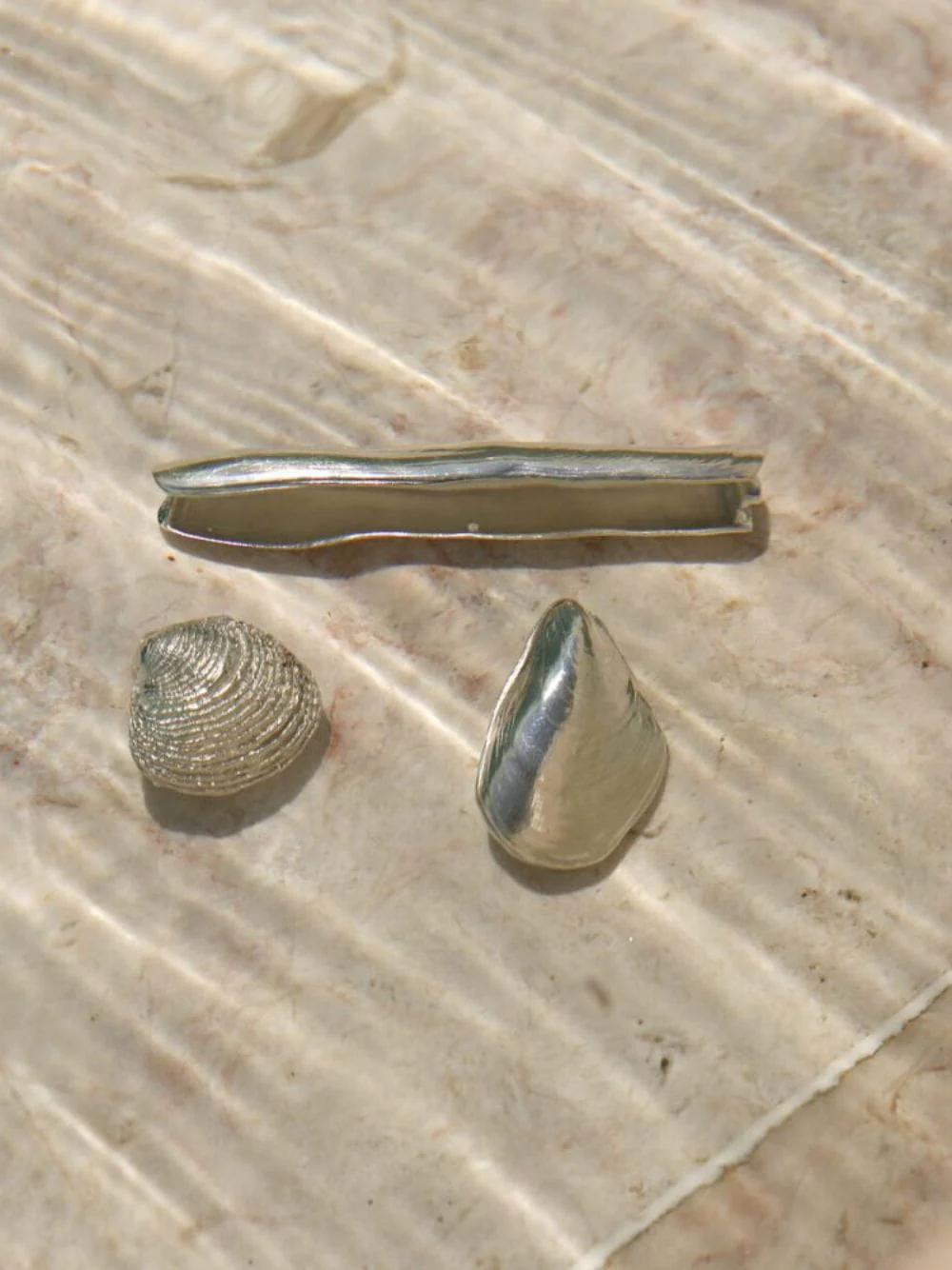 Silver Clam Shell Box - Image 2