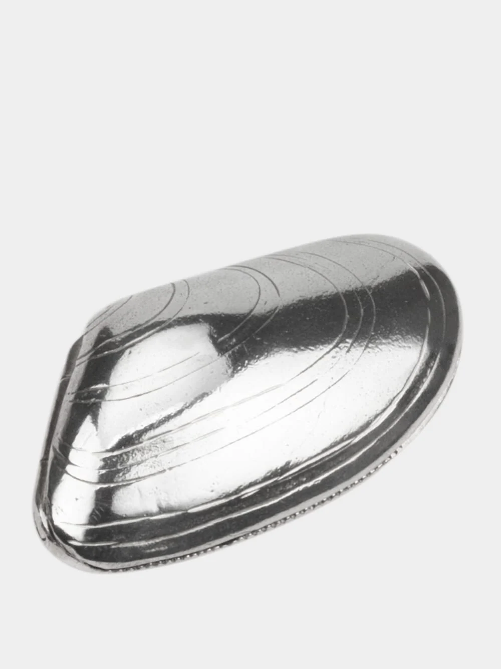 Silver Mussel Fruit Box