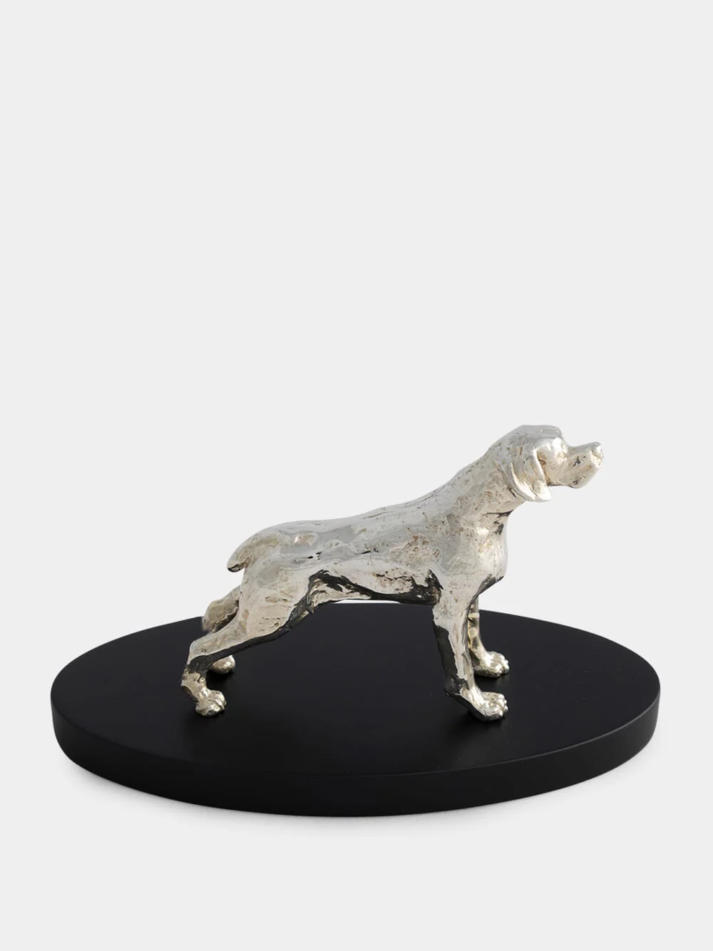 Silver Portuguese Partridge Hound