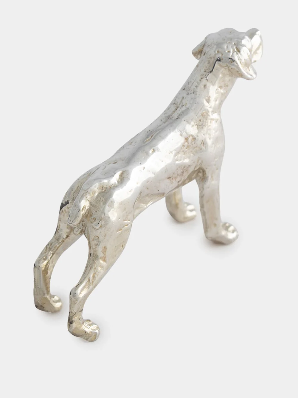 Silver Portuguese Partridge Hound - Image 3