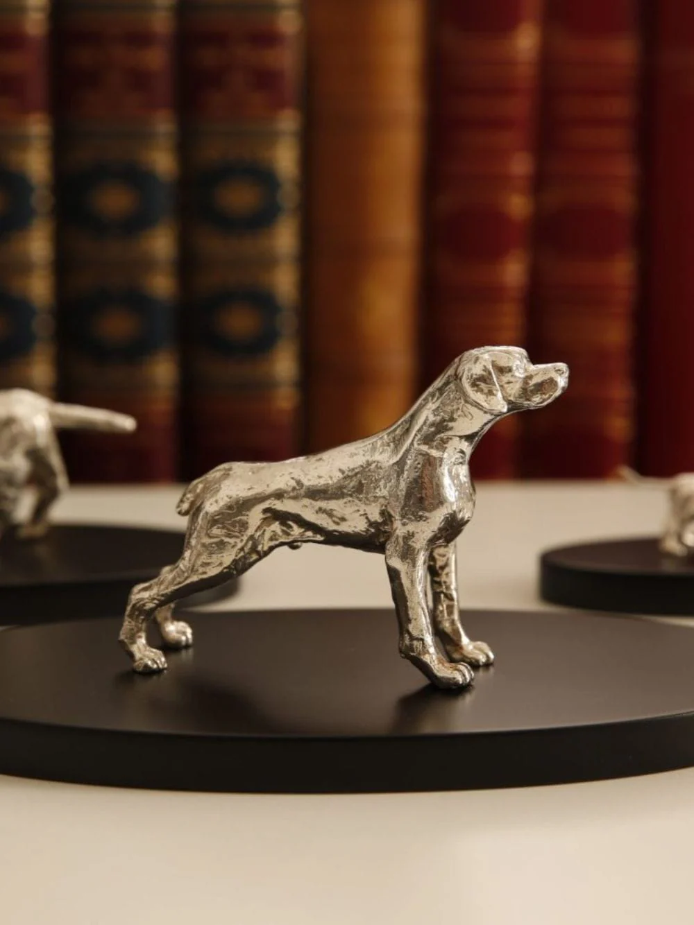 Silver Portuguese Partridge Hound - Image 5