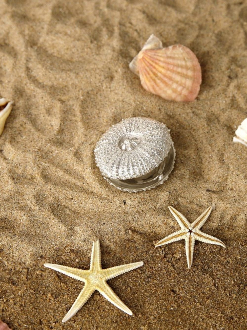 Silver Sea Urchin Box