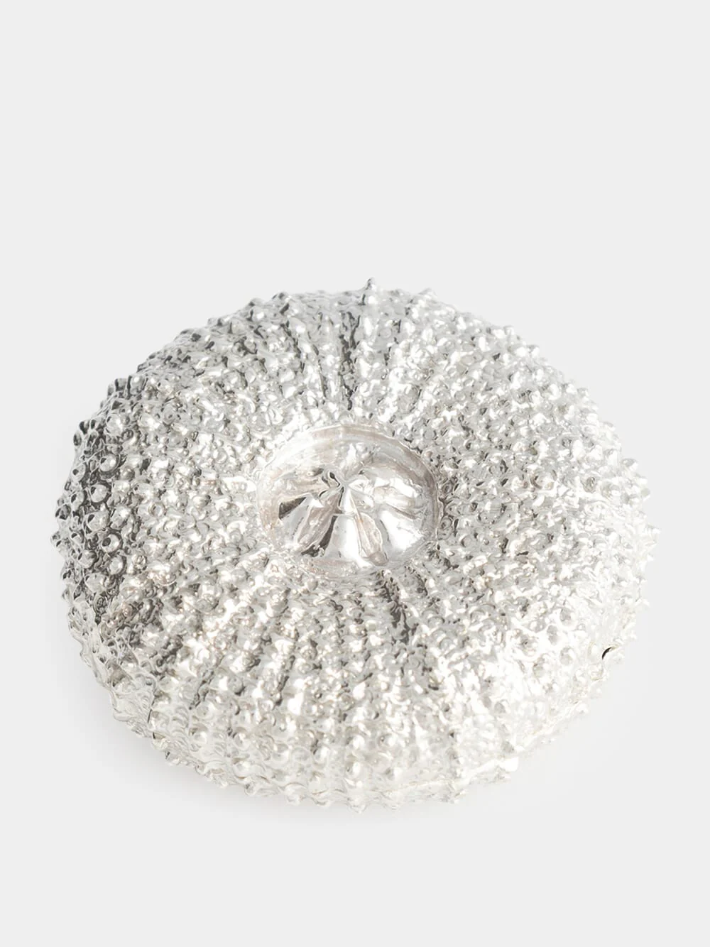 Silver Sea Urchin Box - Image 2