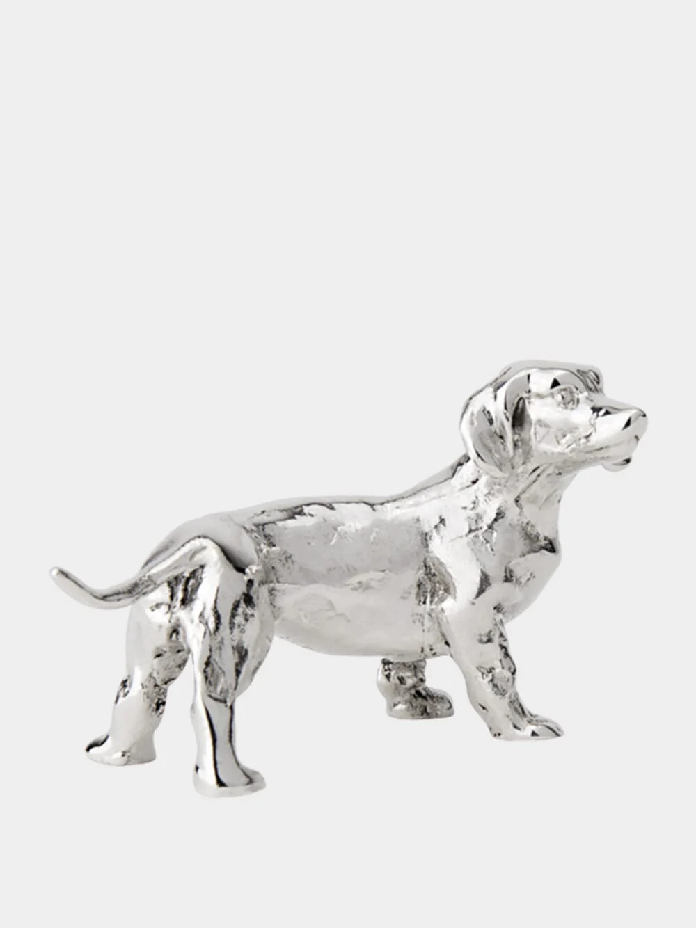 Silver Smooth-Haired Dachshund