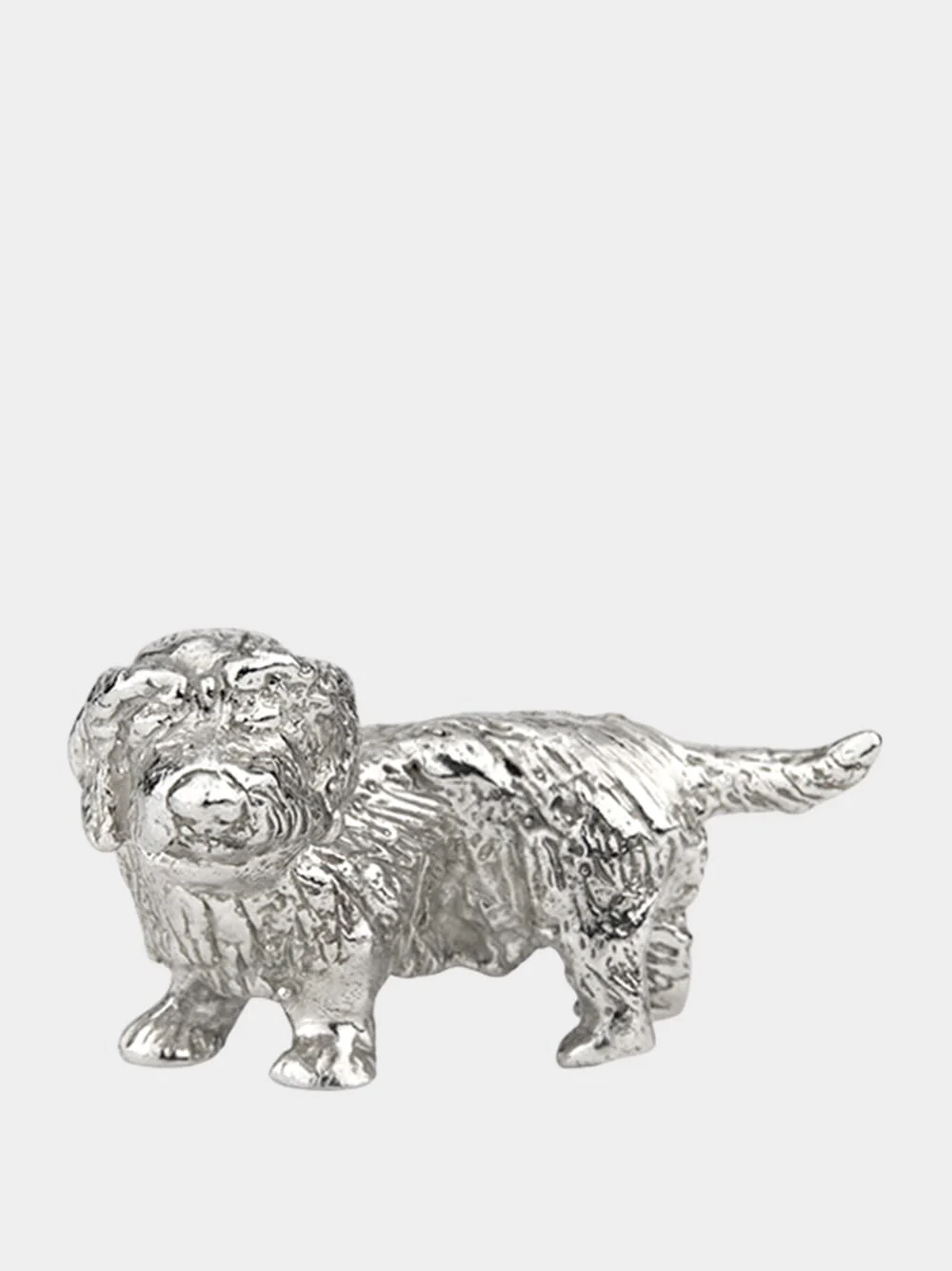 Silver Wire-Haired Dachshund