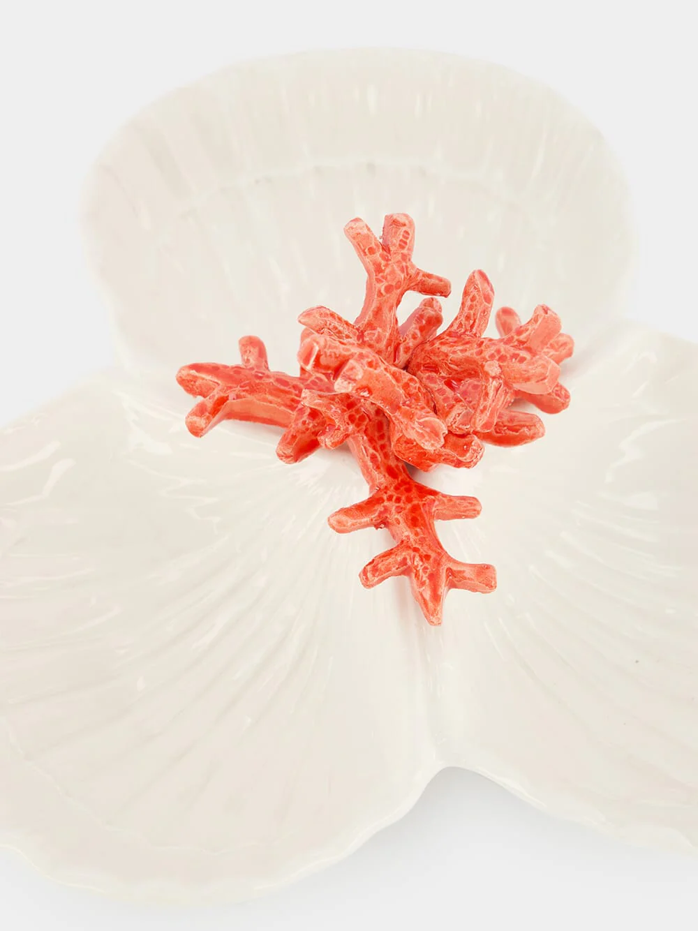 Coral Starter Plate - Image 3