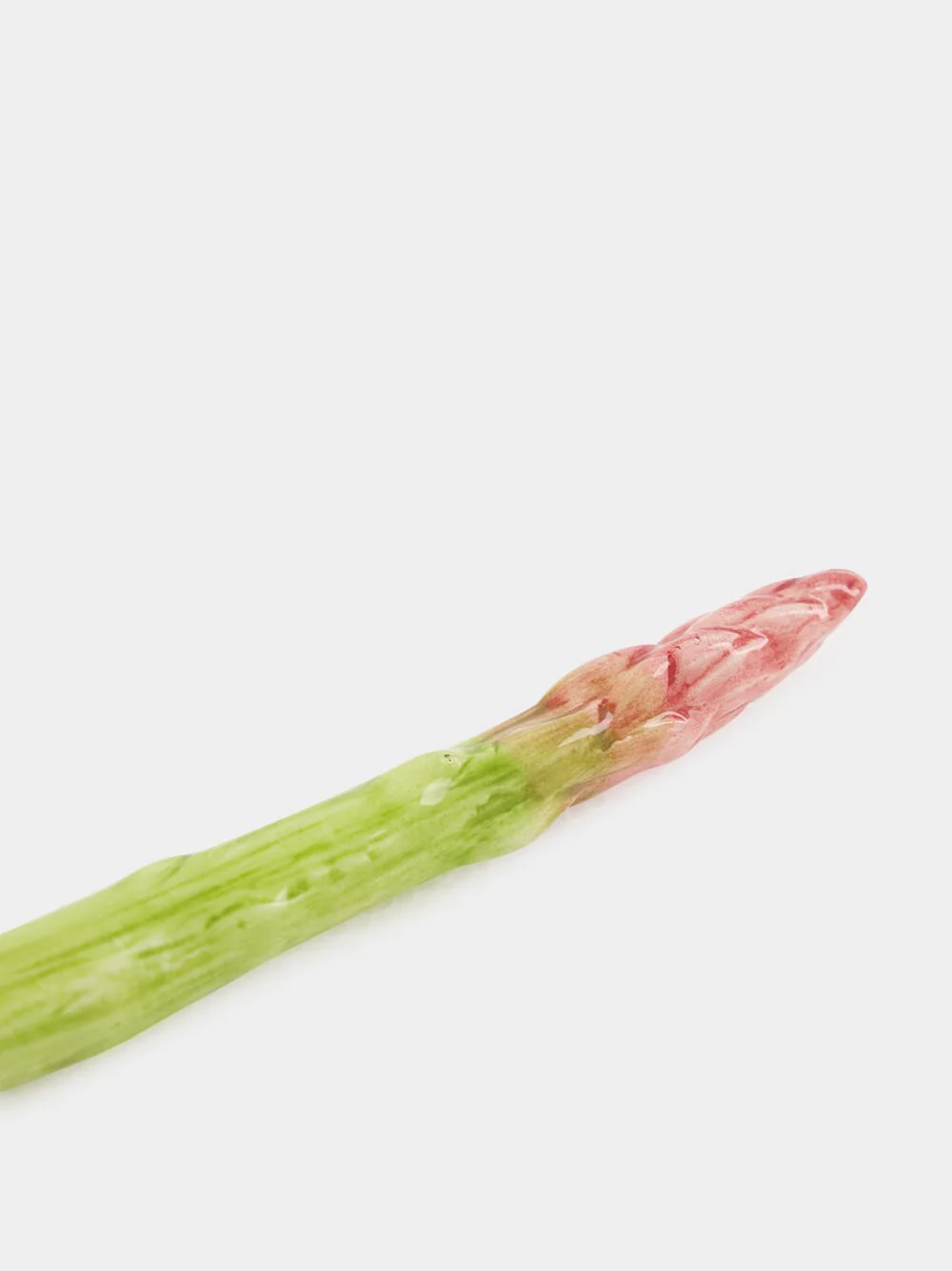 Asparagus Ceramic - Image 3