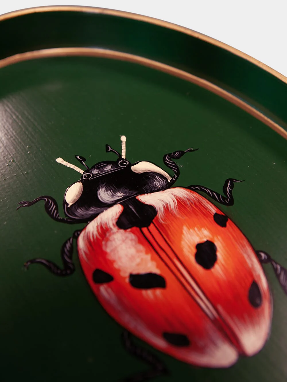 Ladybug Handpainted Iron Oval Tray - Image 3