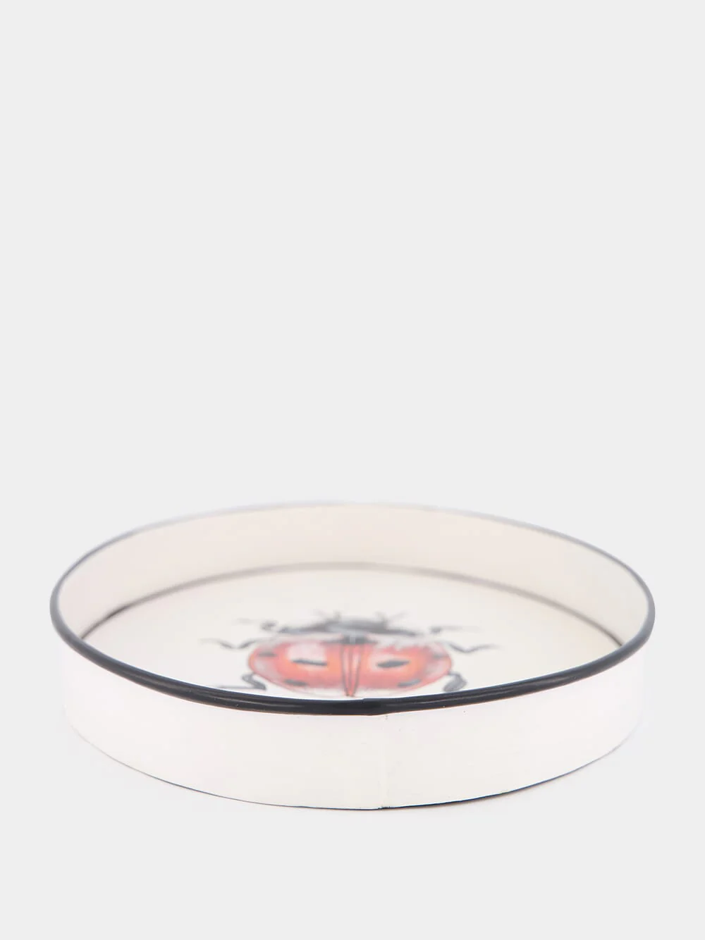 Handpainted Ladybug Tray - Image 2