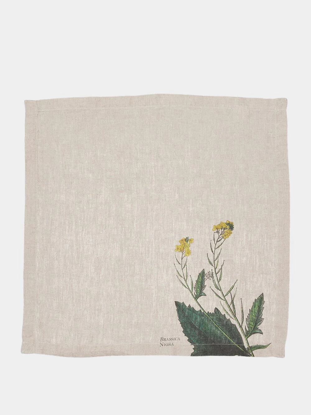 Set of 6 Herbs and Spices Napkins - Image 6