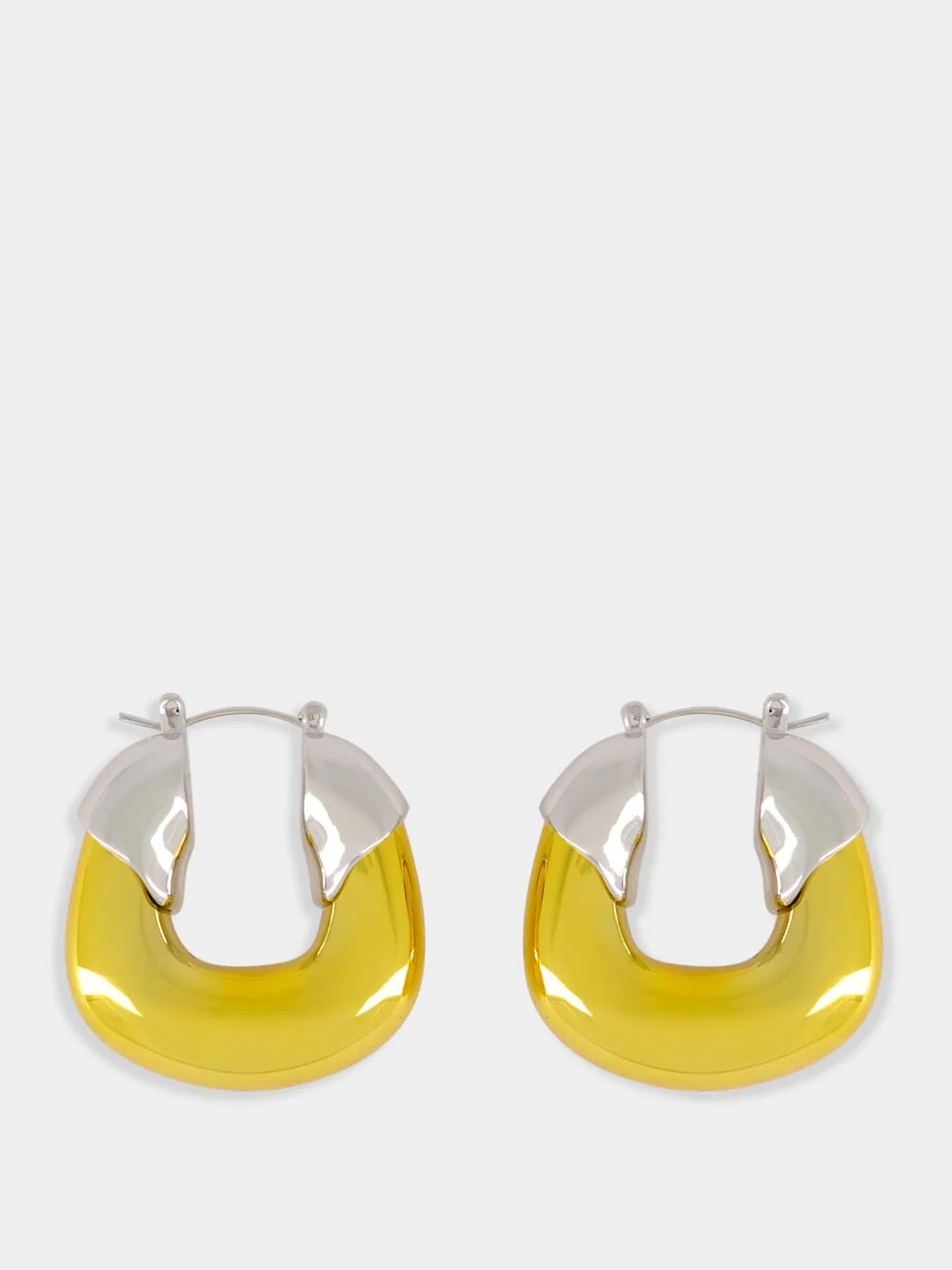 Mixed Metal Organic Hoops