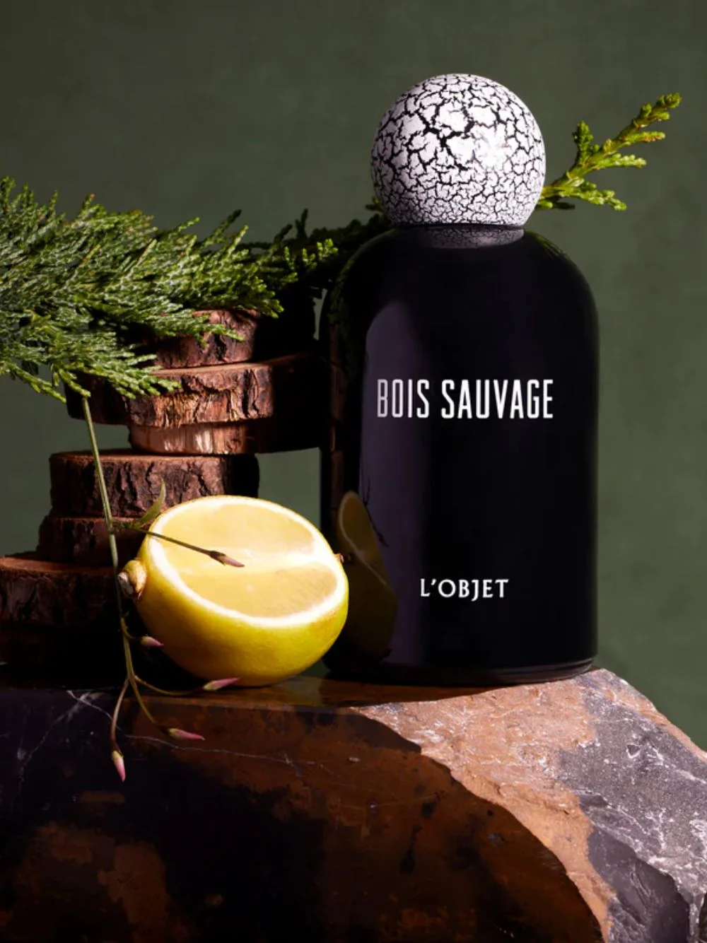 Bois Sauvage Eau de Parfum - Image 2