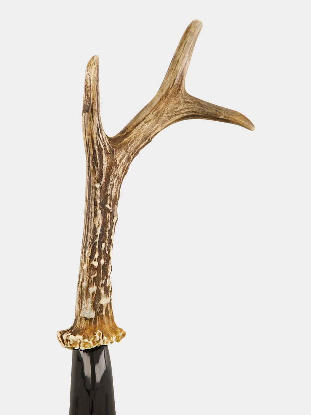 Small Roe Deer Antler and Zebu Horn Shoehorn - Image 3
