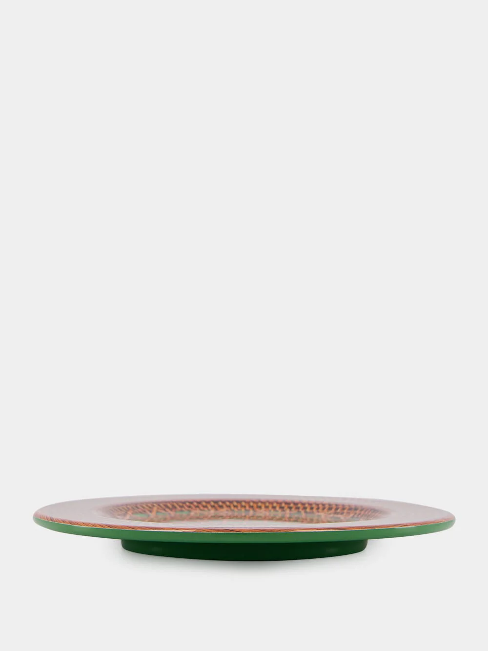 Patagonia Green Dinner Plate - Image 3