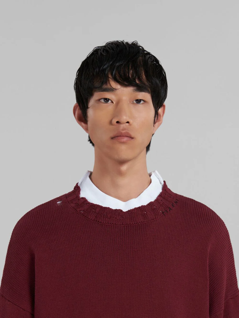 Cotton Crewneck Sweater - Image 5
