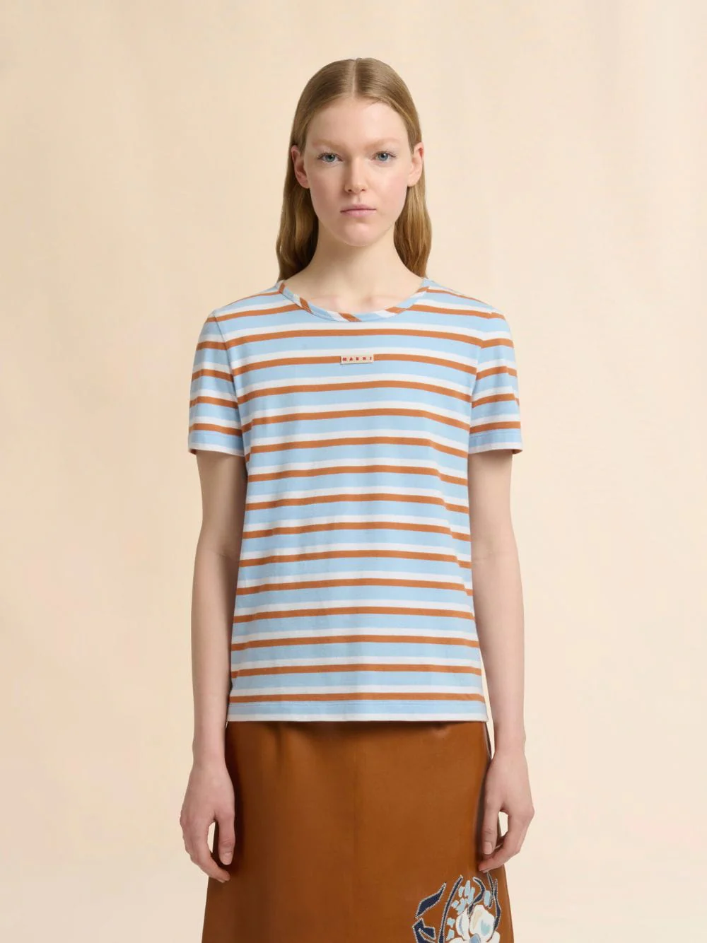 Light Blue and Brown Striped Cotton T-Shirt - Image 2