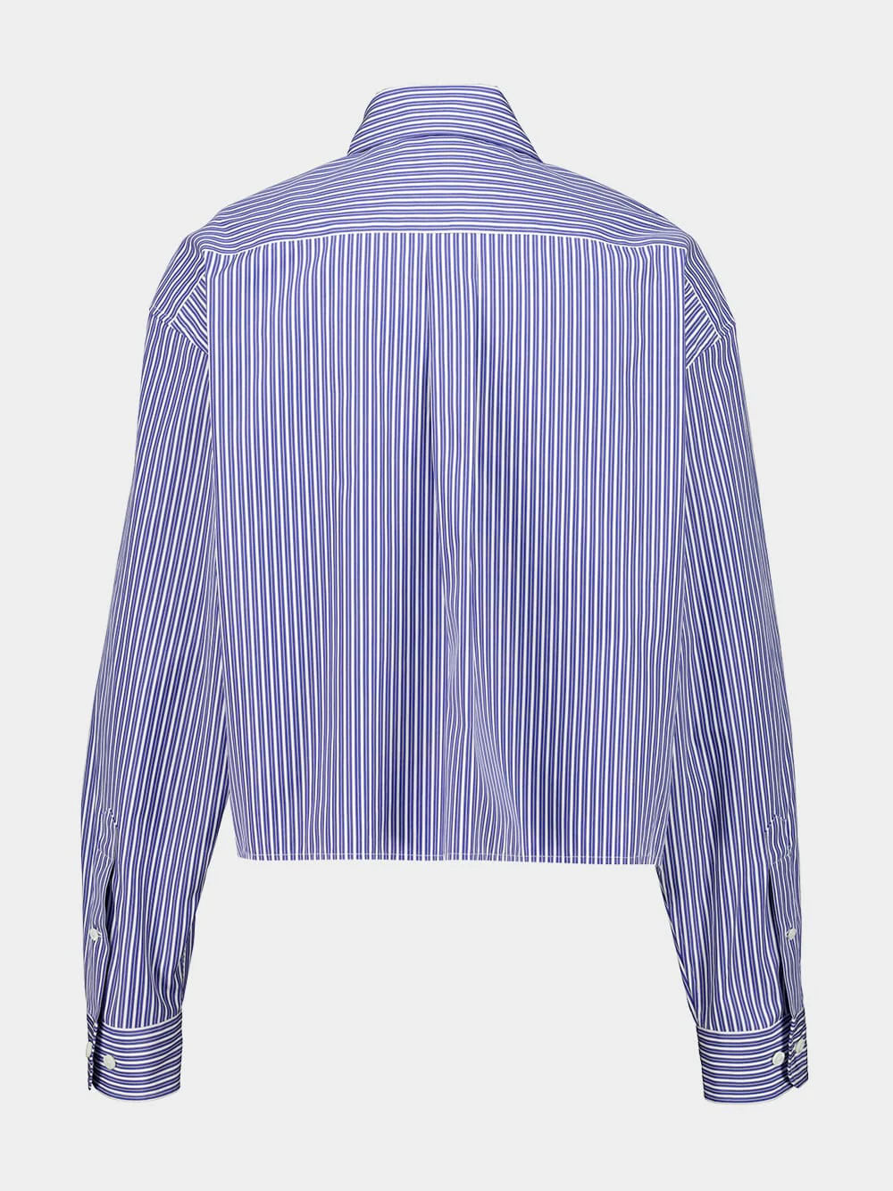 Blue Striped Cotton Shirt with Thread Embroidery - Image 2