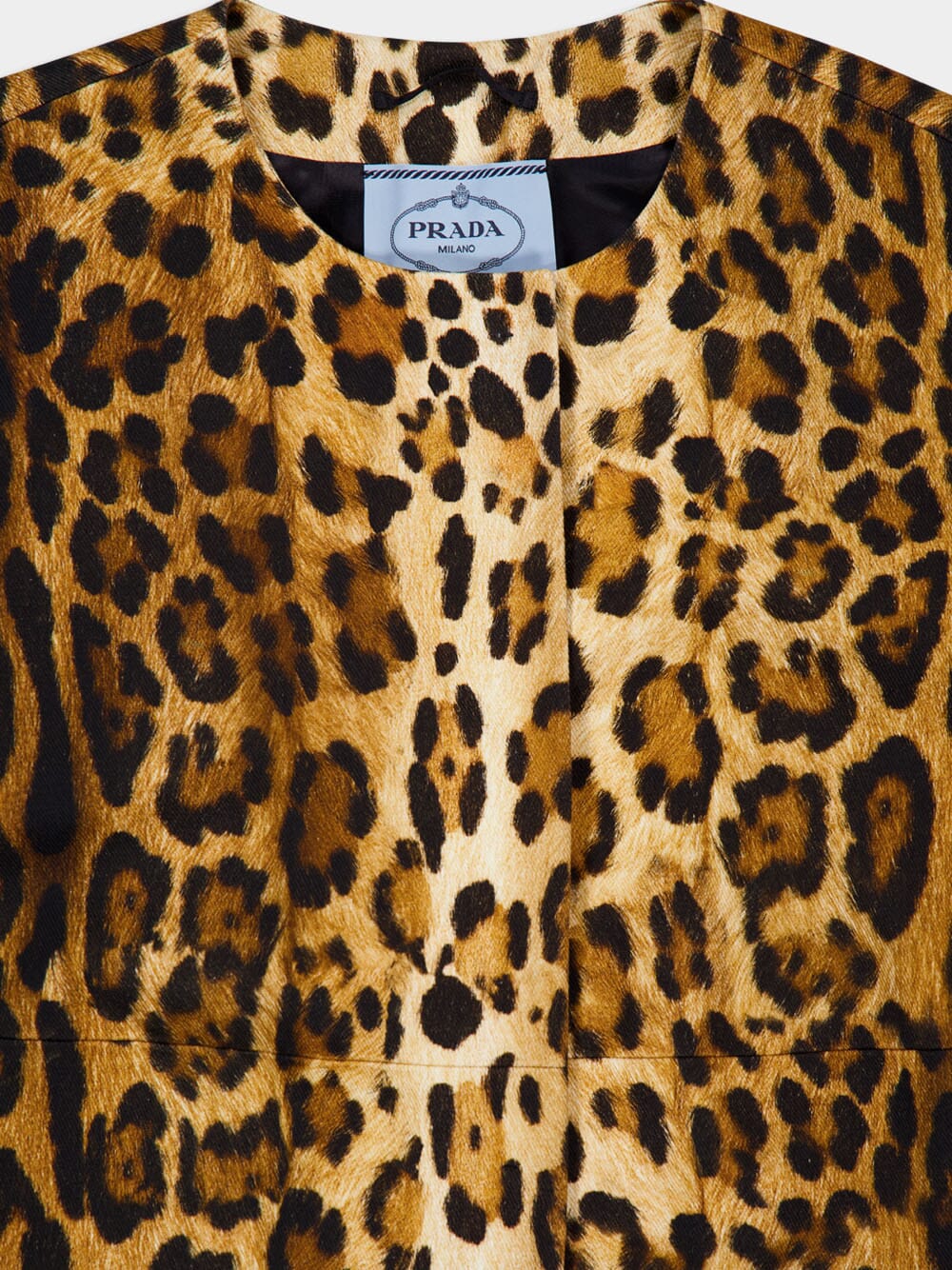Single-Breasted Animal Print Drill Coat - Image 5