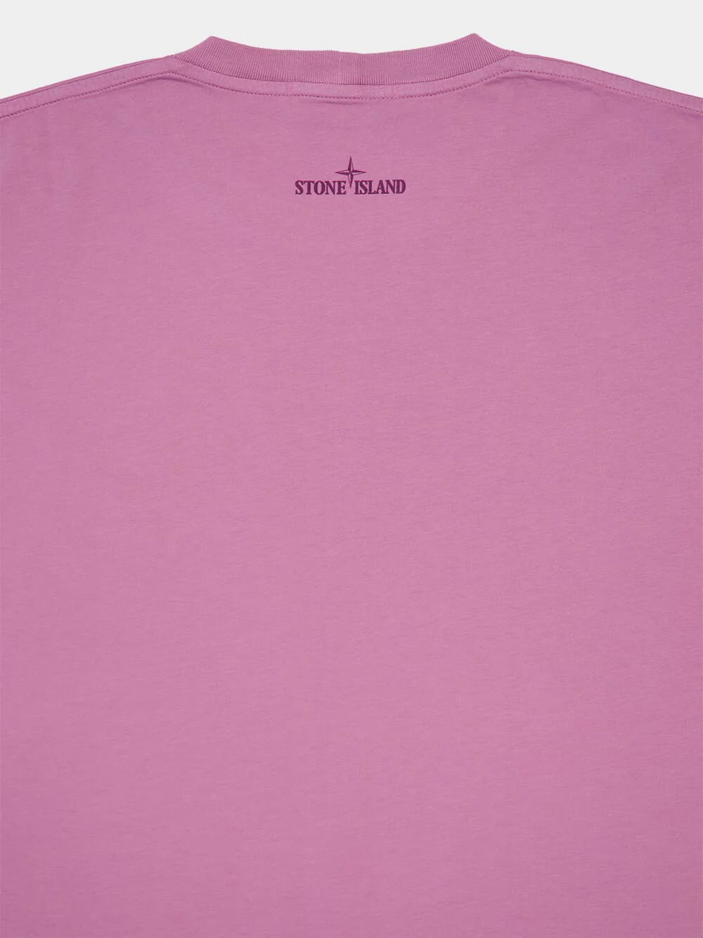 Onion Rose T-Shirt with 'Gradient Compass' Print - Image 4