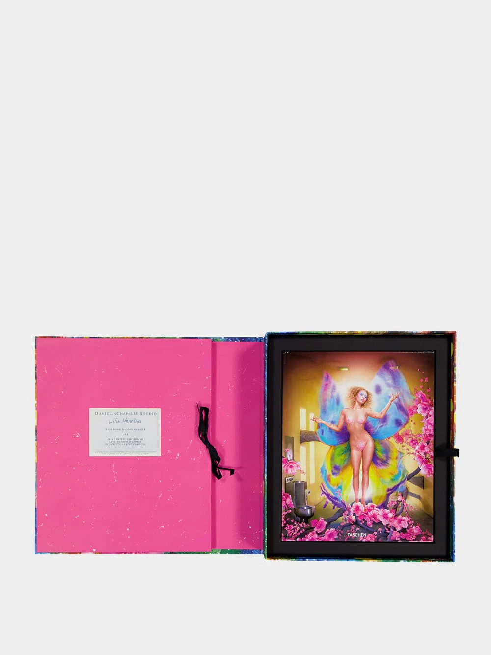 David LaChapelle Art Edition Book - Image 2