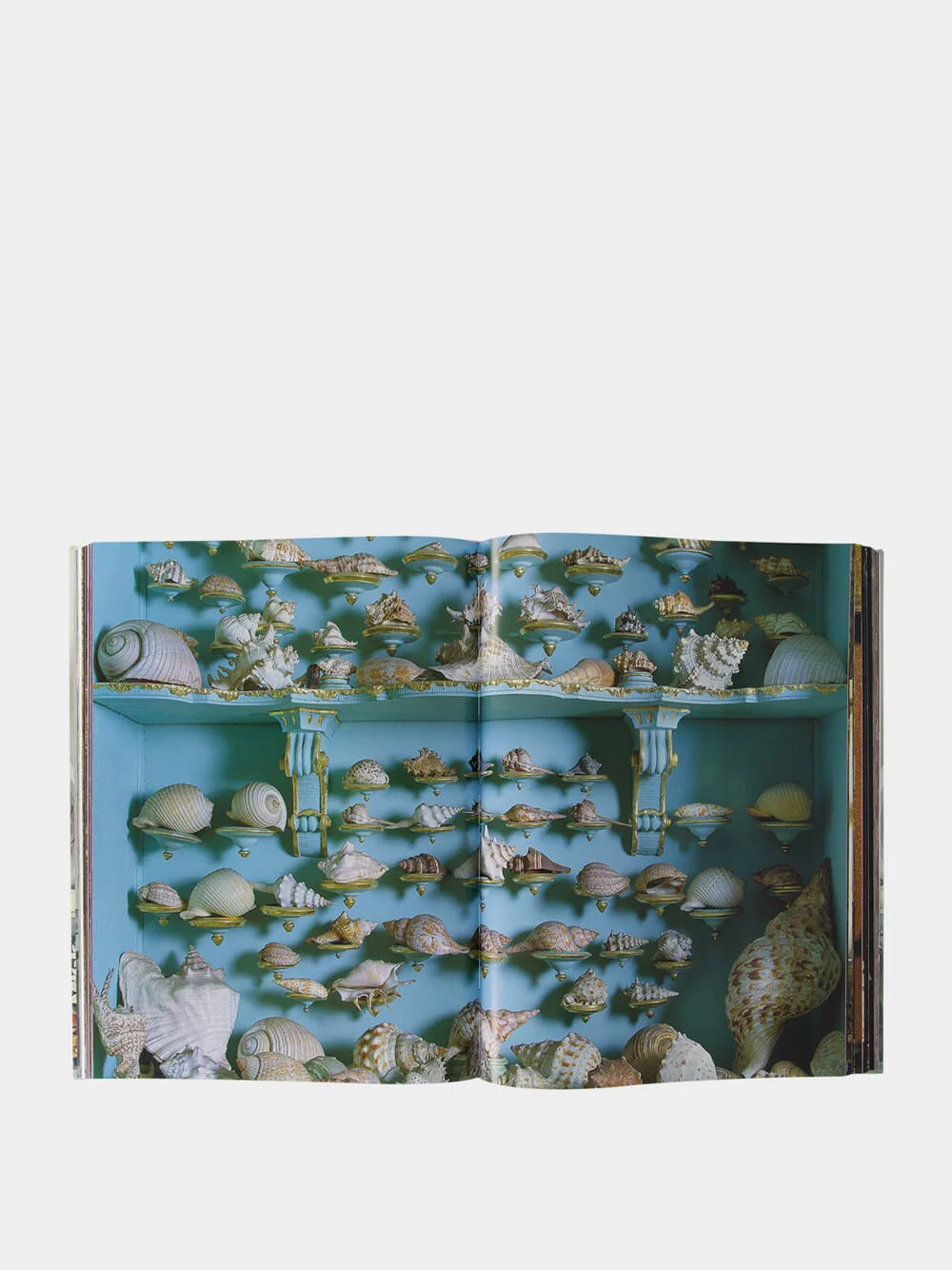 Massimo Listri: Cabinet of Curiosities Book - Image 5