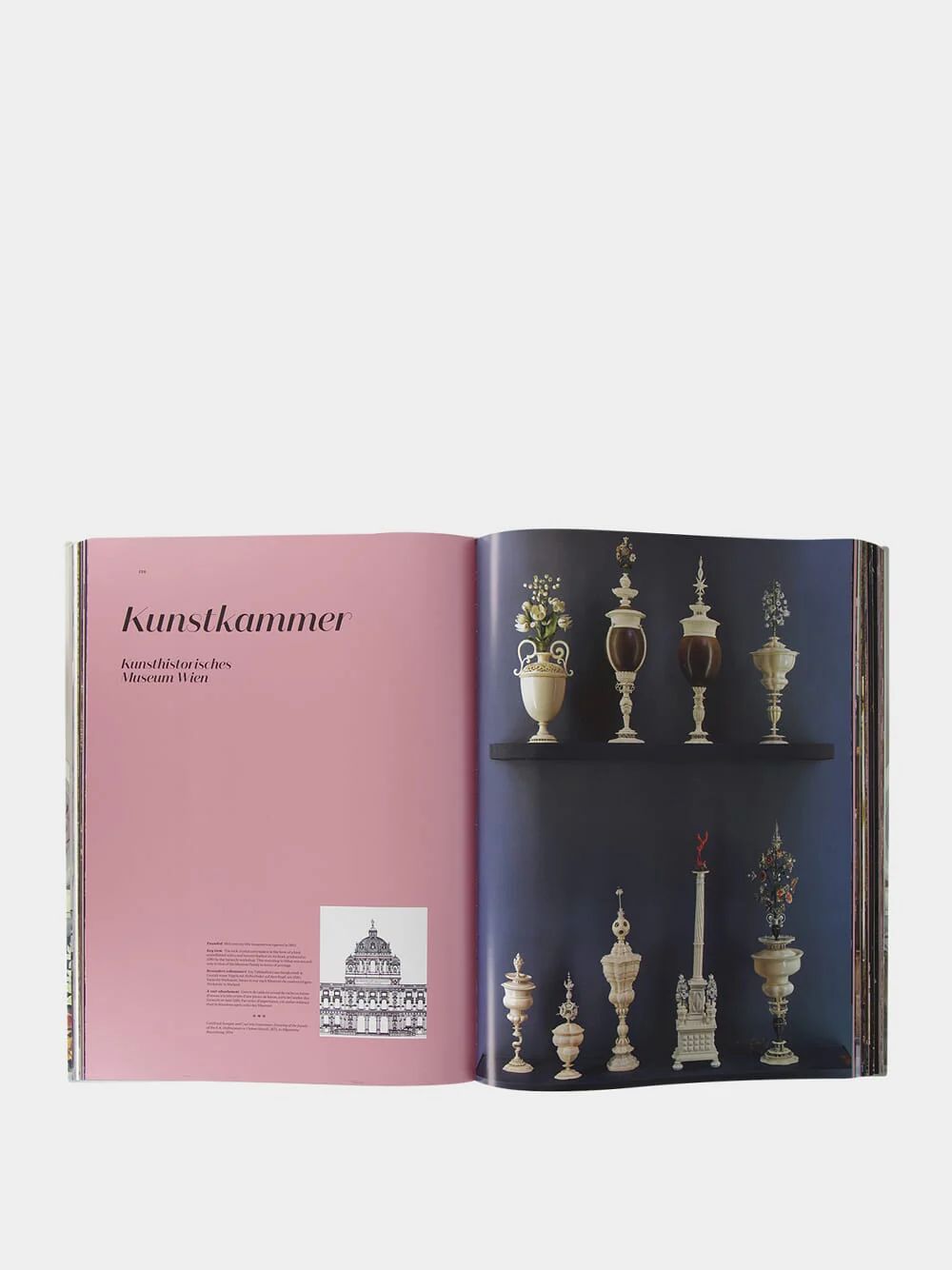 Massimo Listri: Cabinet of Curiosities Book - Image 6