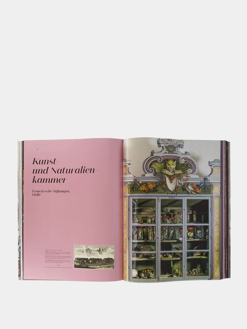 Massimo Listri: Cabinet of Curiosities Book - Image 7