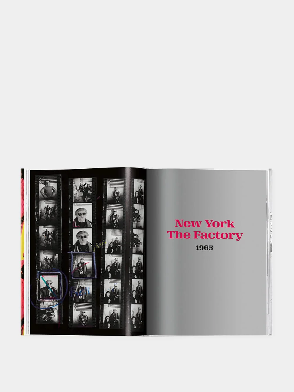 Steve Schapiro: Andy Warhol and Friends - Image 4