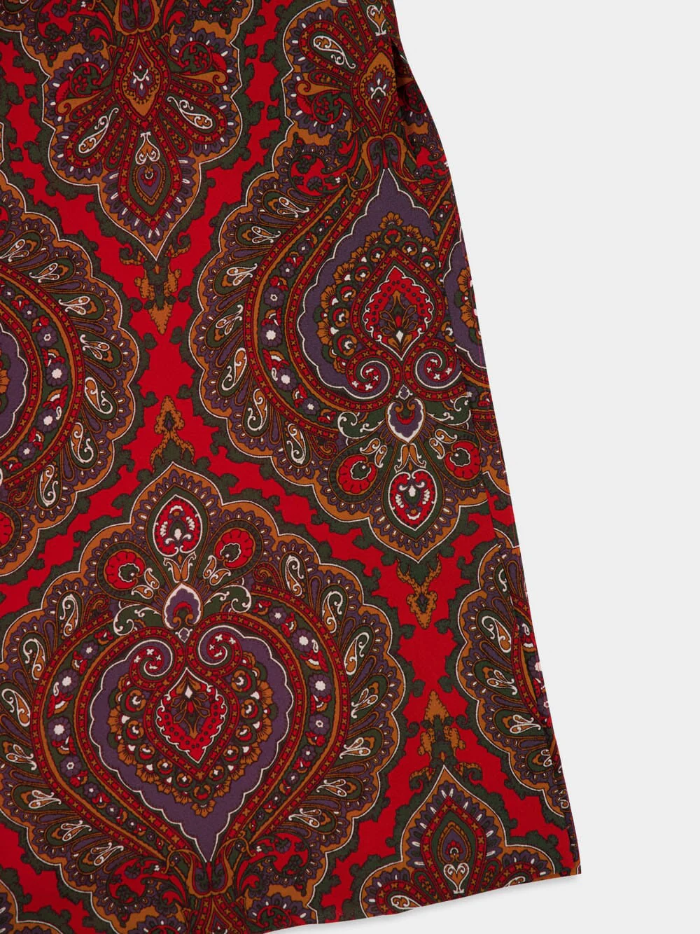 Paisley Silk Maxi Dress with Feathers - Image 10