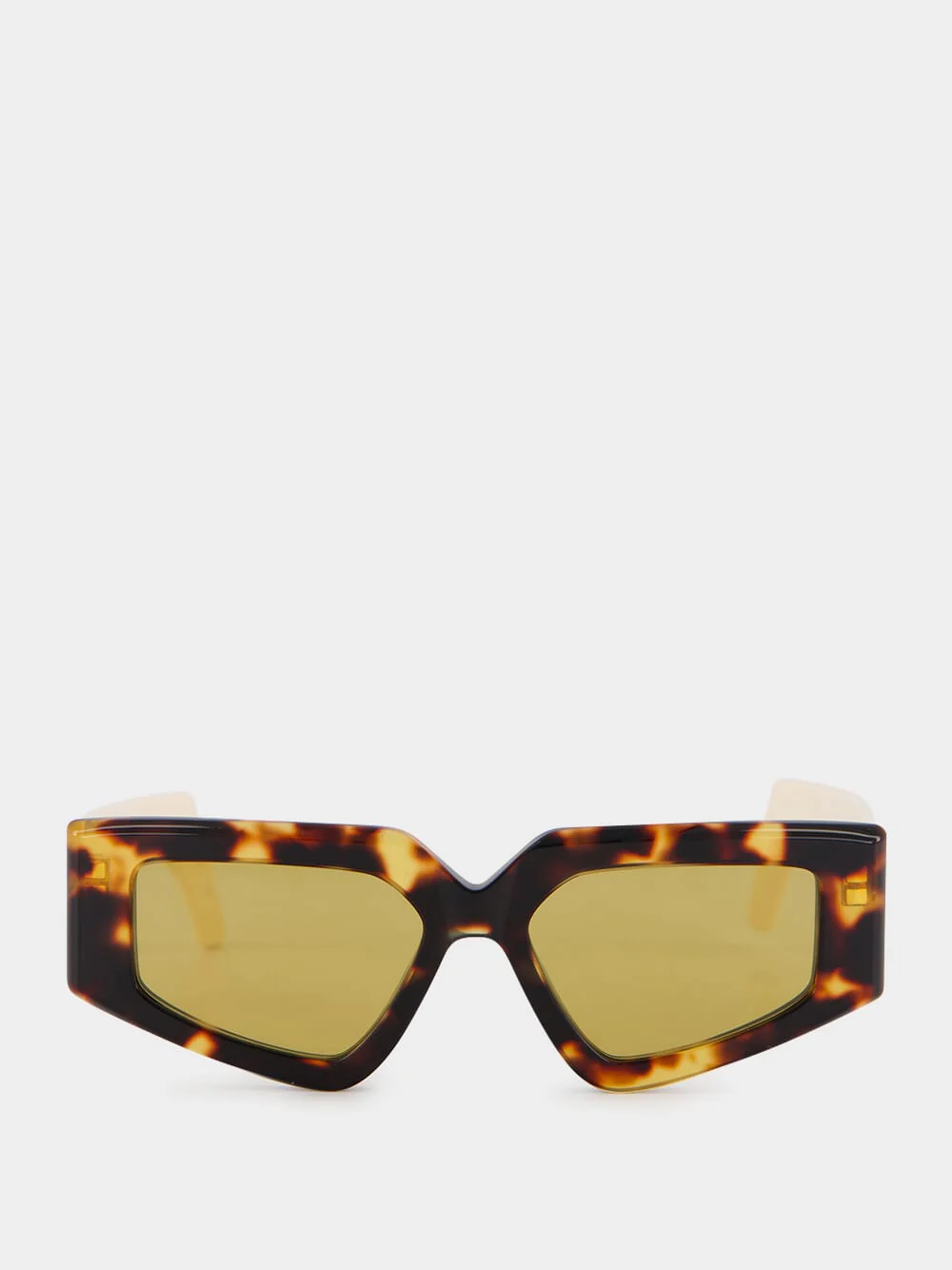 Tortoiseshell Ultra Vintage Sunglasses in Recycled Acetate